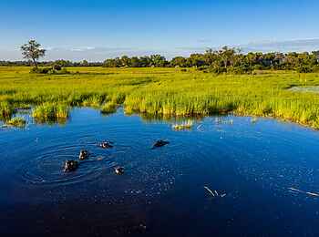 Elephant Pan Camp: Hippo Pool