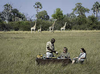 Little Tubu: Bush Lunch Little Tubu: Bush Lunch
