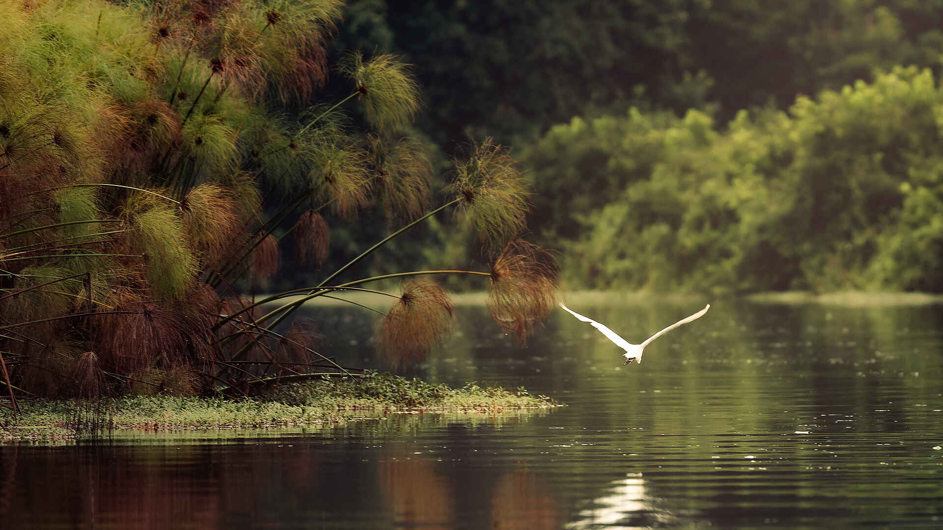 Nyanga Lodge: Beutesuche