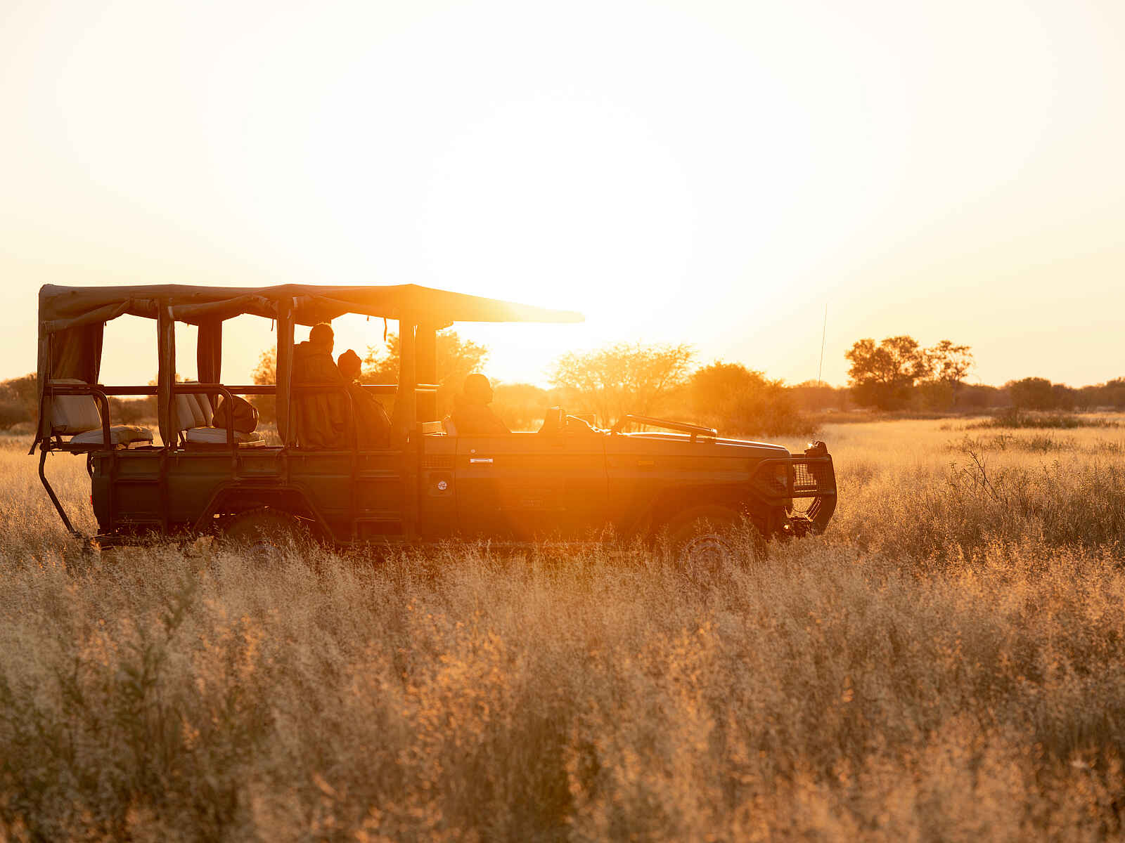 Planet Baobab: auf Pirschfahrt Planet Baobab: auf Pirschfahrt