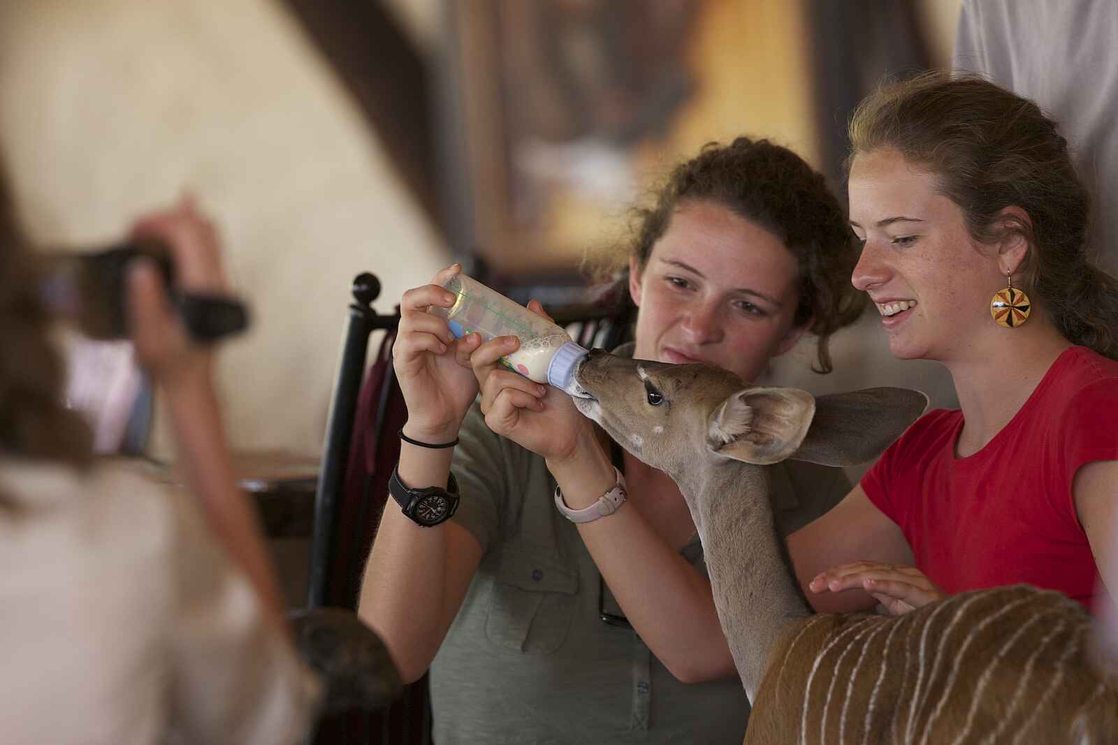 Sarara Camp: Tierfütterung Sarara Camp: Tierfütterung