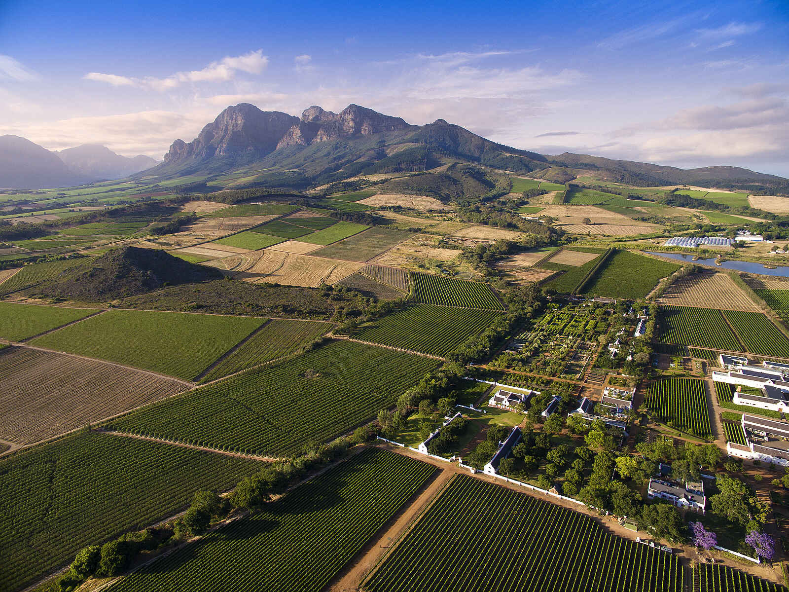 Babylonstoren: Vogelperspektive der Winelands Babylonstoren: Vogelperspektive der Winelands