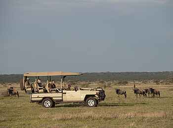 Legendary Mwiba Lodge: Game Drive Legendary Mwiba Lodge: Game Drive