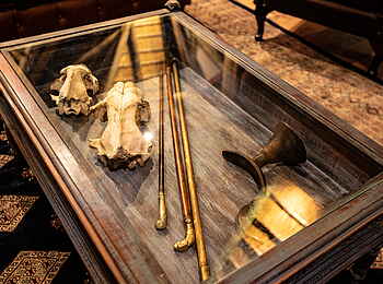 Selinda Camp: Wertvolle Stücke