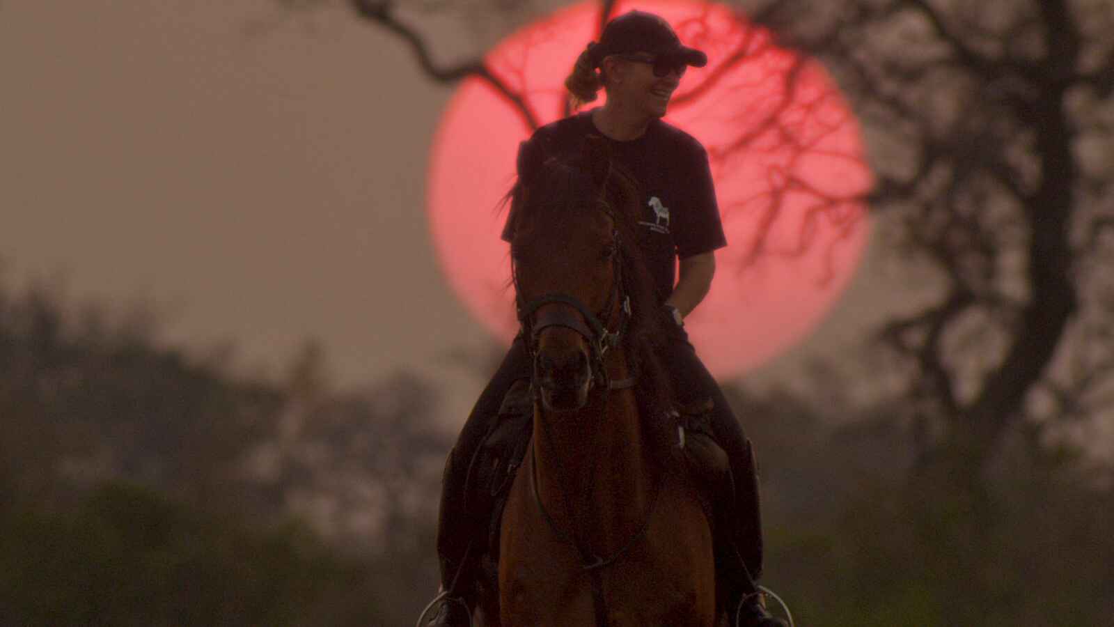 Kujwana Camp: Morgensonne Kujwana Camp: Morgensonne