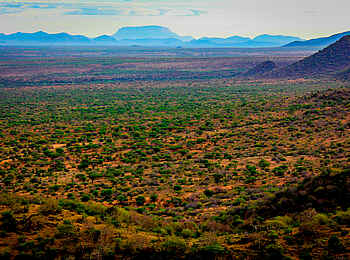 Sirikoi: Die Landschaft in der Lewa Wildlife Conservancy