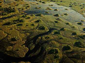 Sitatunga Private Island Suite: Im Delta Sitatunga Private Island Suite: Im Delta