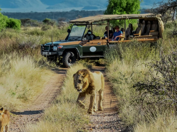 Soroi Larsens Camp: Auf Pirschfahrt Soroi Larsens Camp: Auf Pirschfahrt