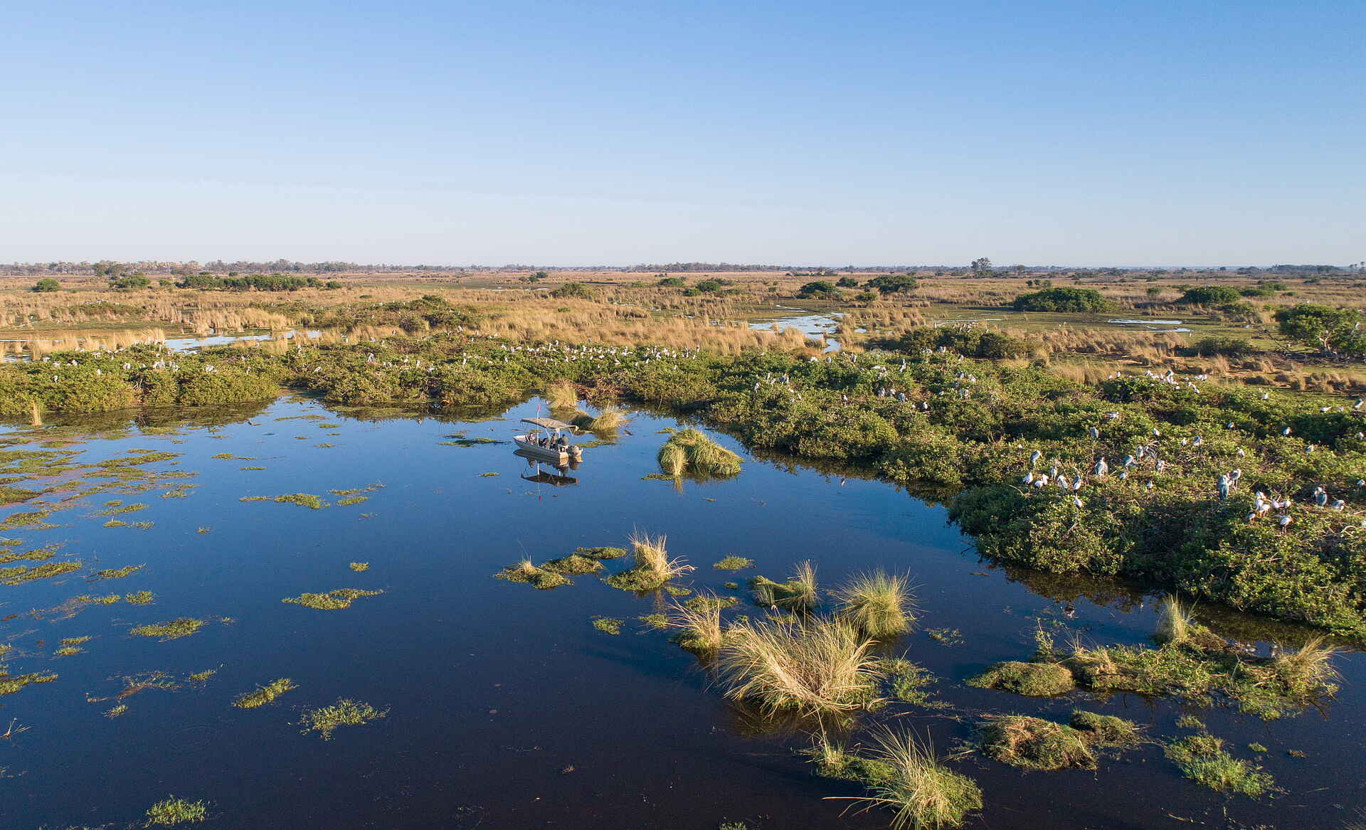 Kanana Camp: Blick über die sumpfige Flusslandschaft