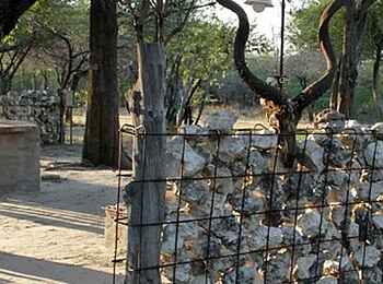 Roy's Restcamp: Außenbereich des Camps