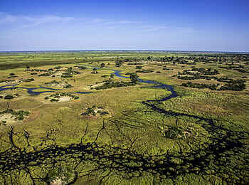 Duba Explorers Camp: Ansicht von oben