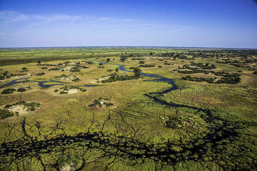 Duba Explorers Camp: Ansicht von oben Duba Explorers Camp: Ansicht von oben