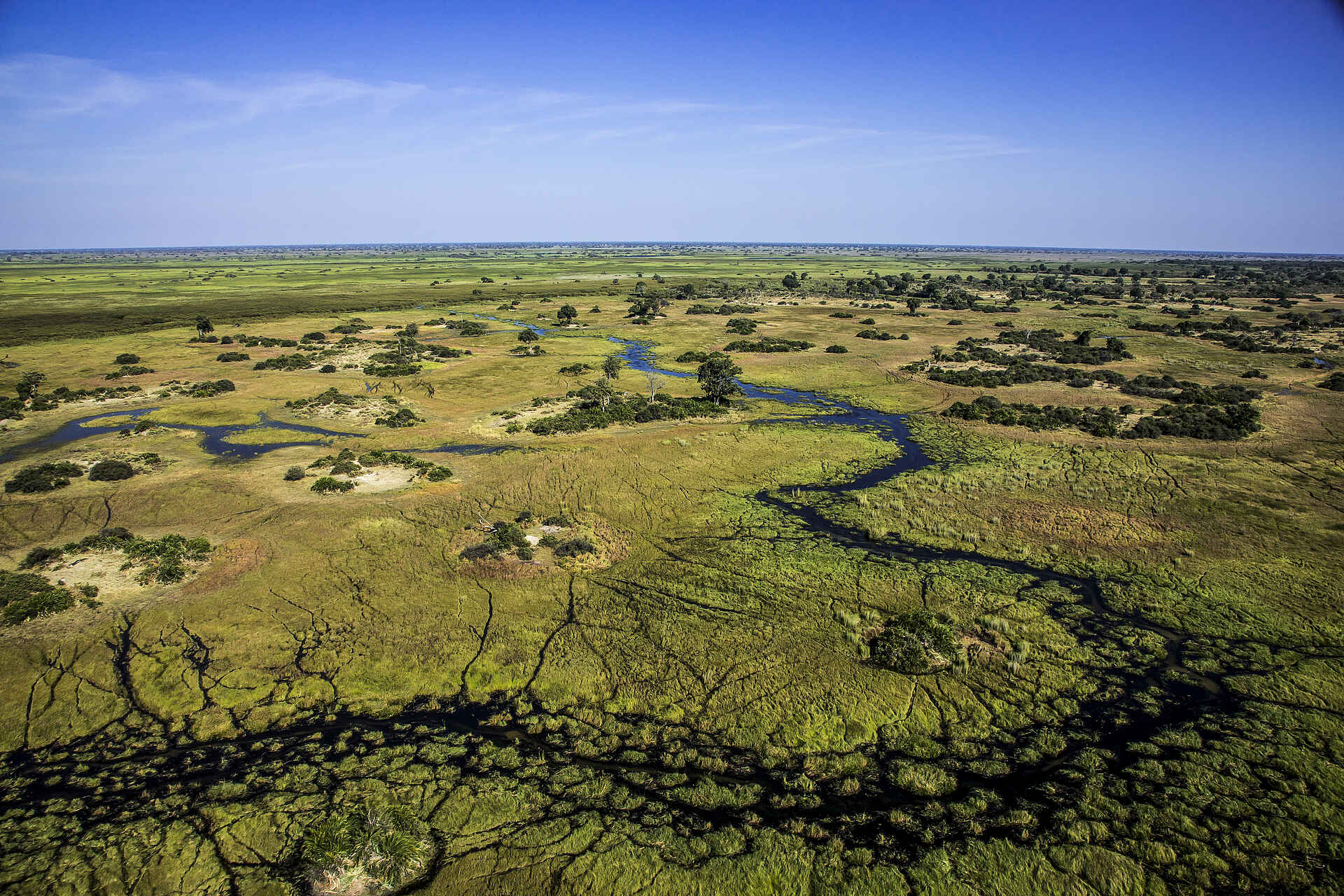 Duba Explorers Camp: Ansicht von oben Duba Explorers Camp: Ansicht von oben