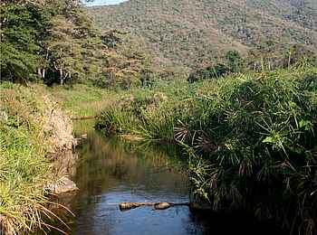 Kitich Camp: Landschaft der Mathew's Mountain Range Kitich Camp: Landschaft der Mathew's Mountain Range