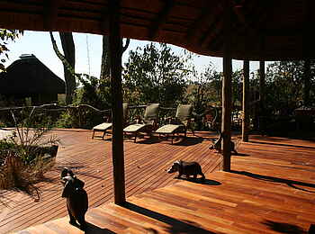 Lebala Camp: Pool-Deck