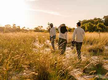 Little Vumbura: Auf Wandersafari Little Vumbura: Auf Wandersafari