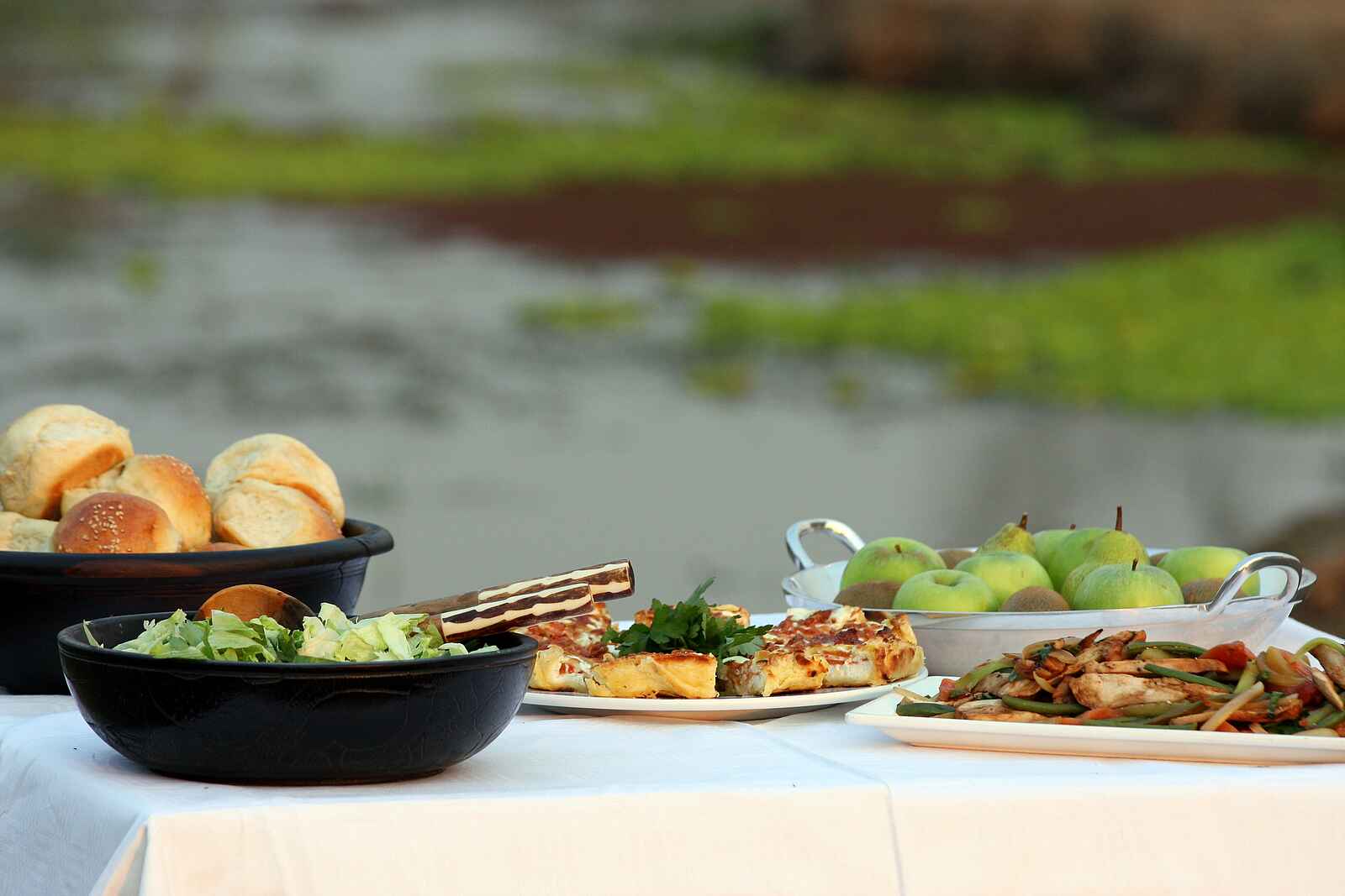 Nkwali Camp: Lunch Nkwali Camp: Lunch