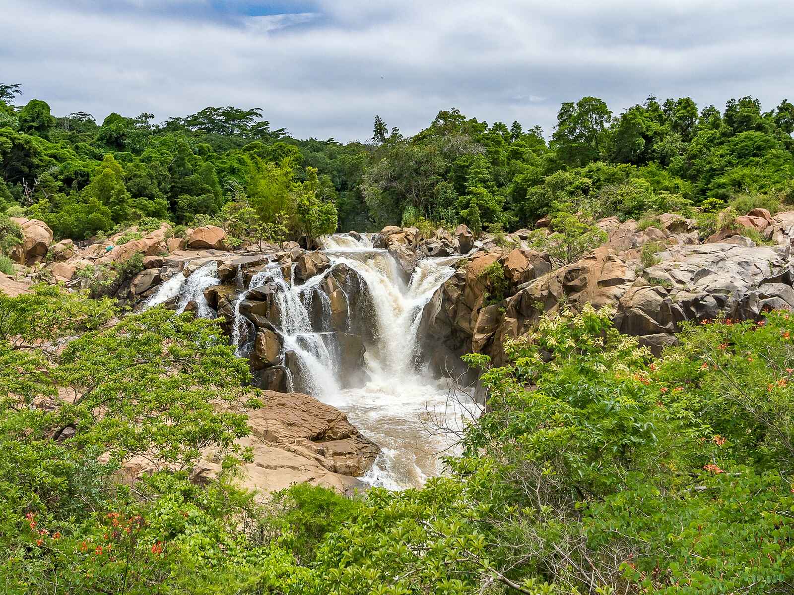 Oliver's: Lowveld Botanischer Garten Oliver's: Lowveld Botanischer Garten