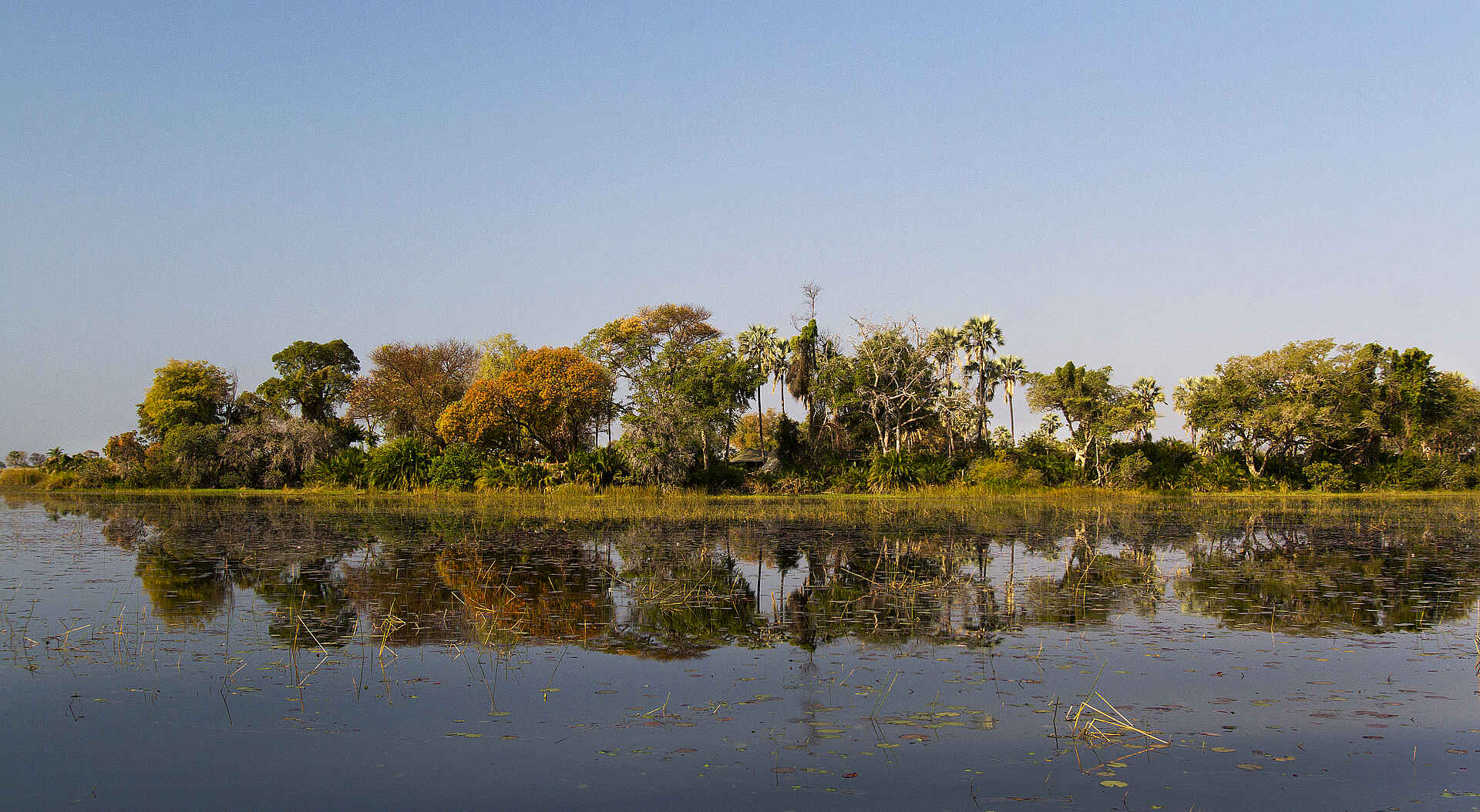 Pelo Camp: Das Pelo Island Adventure Camp, Herz, Jao Konzession, NG 25, Okavango-Delta, Pelo, Safari, Wassercamp, Wilderness Safaris, Insel, Landschaft, Pelo Camp, Schwemmebene, Afrikarma, Afrikarma Safaris, Afrikarma.de