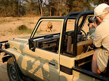 Sausage Tree Camp: Game Drive