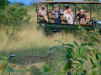 Savuti Camp: Leopard in der Greenseason
