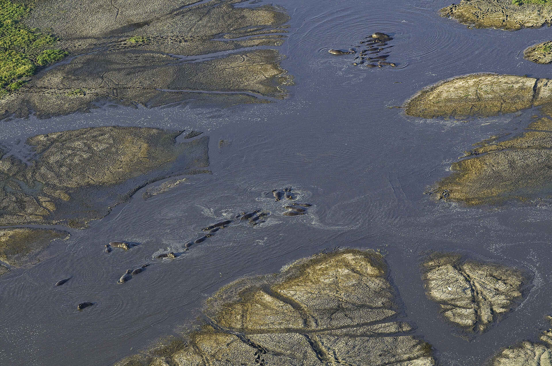 Aerials Busanga, Busanga Plains, Kafue National Park, Schwemmebenen, Antilope, Antilopen, Busanga-Ebenen, Busch, Fauna, Flood Plains, Heißluftballon, Kafue Nationalpark, Pirschfahrt, Pukus, Safari, Shumba Camp, Wilderness Safaris, Sumpf, Abend, Abendstimmung, Atmosphäre, Lichter, Lodge, Romantik, Stimmung