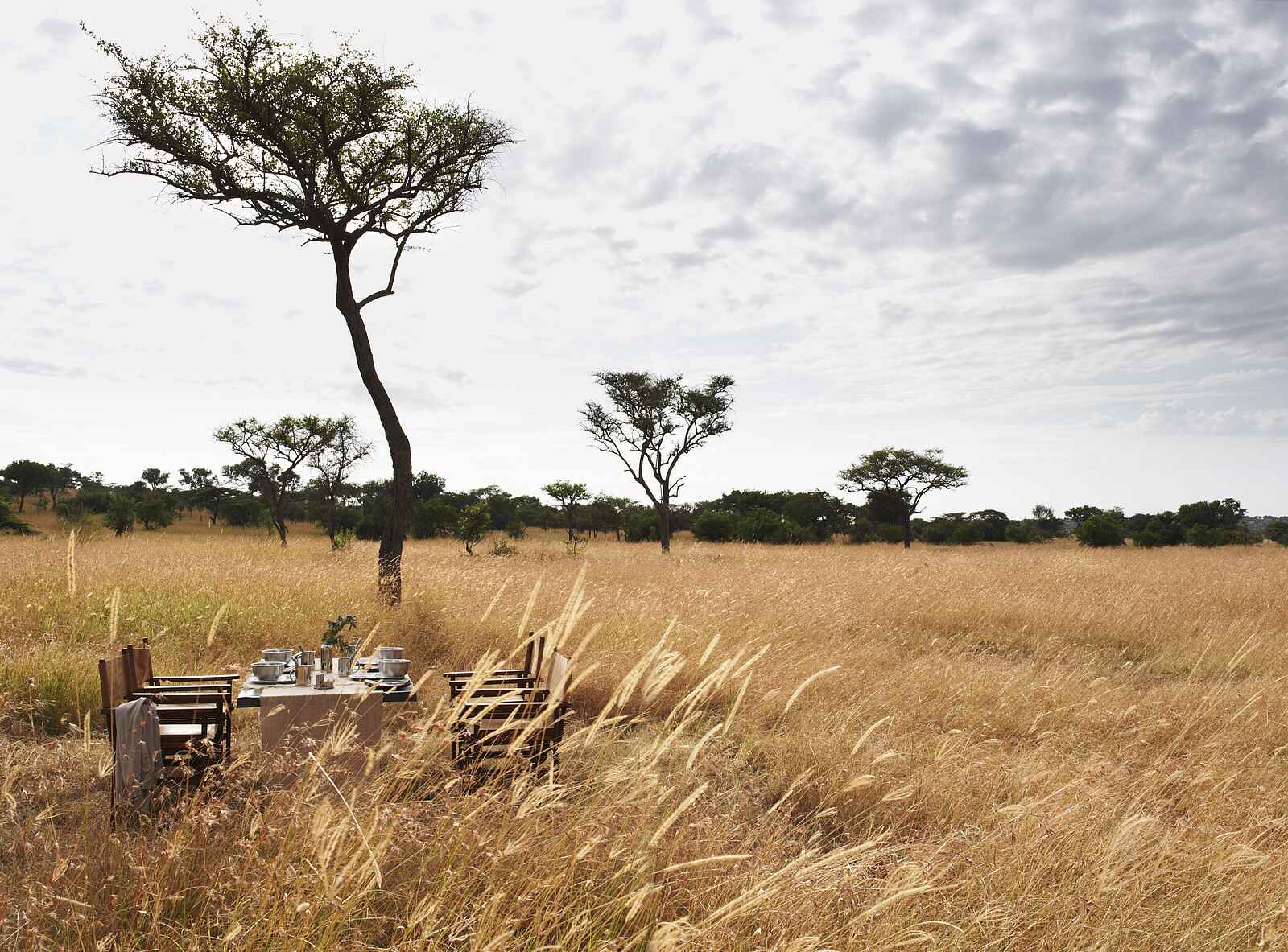 Singita Explore Mobile Tented Camp: Buschmahlzeit Singita Explore Mobile Tented Camp: Buschmahlzeit