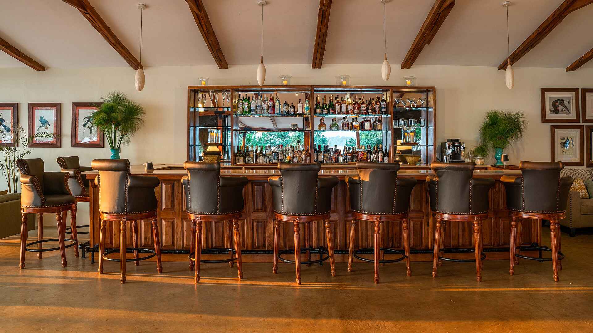 The River Station Lodge: Die Bar