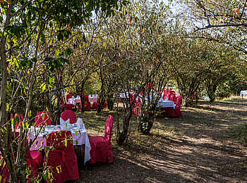 Mara Serena Safari Lodge: Dinner im Freien Mara Serena Safari Lodge: Dinner im Freien
