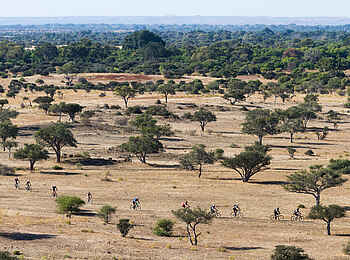 Mashatu Game Reserve: Savanne mit lichtem Baumbestand