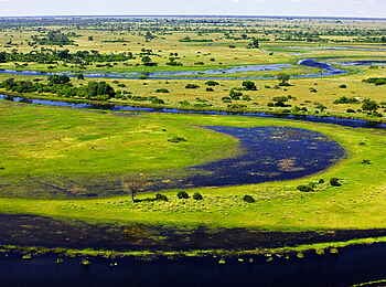 Selinda Camp: Umgebung