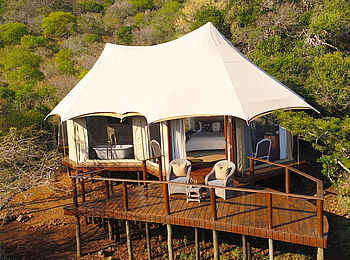 Thanda Tented Camp: Blick auf ein Zelt mit Holzdeck Thanda Tented Camp: Blick auf ein Zelt mit Holzdeck
