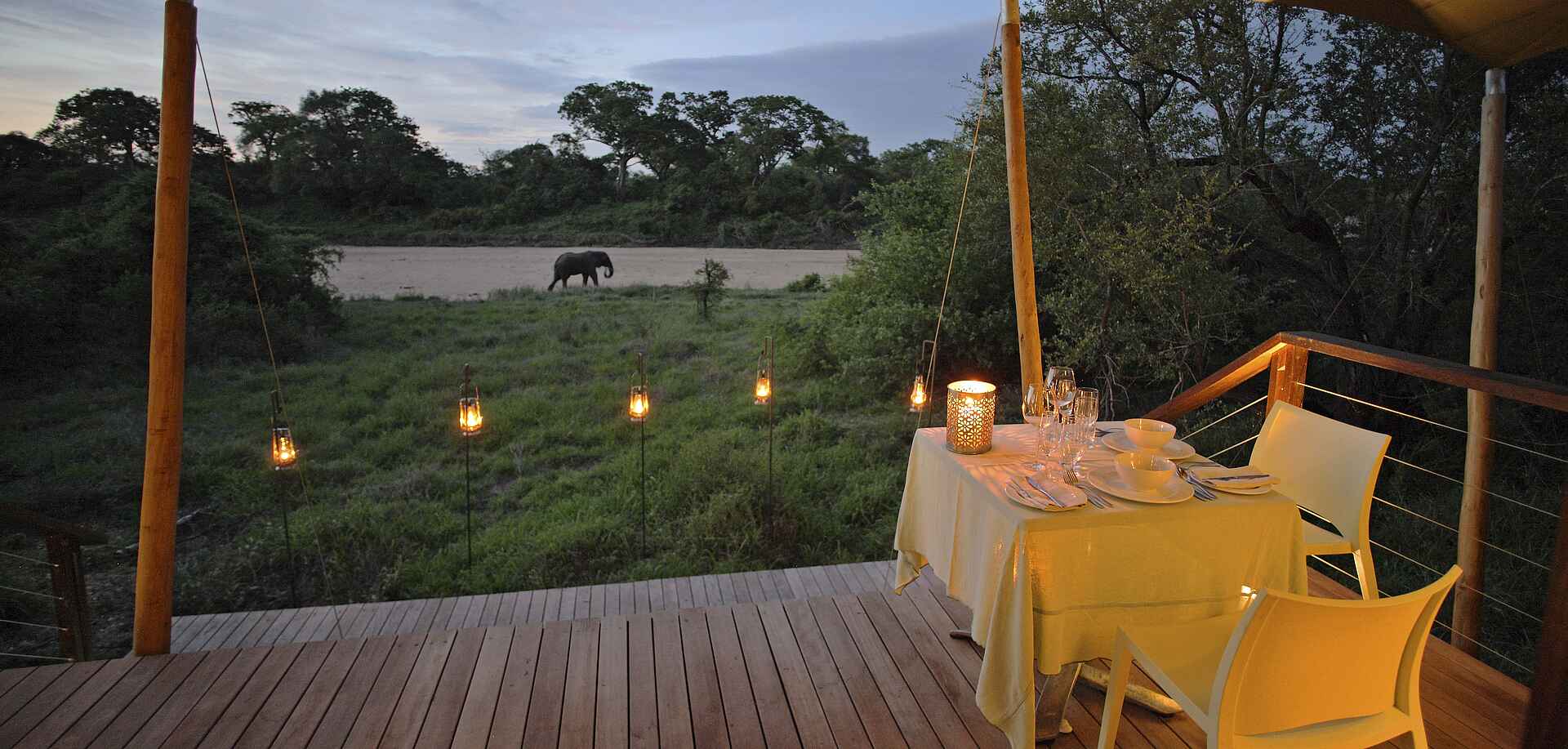 &Beyond, andBeyond, Krüger Nationalpark, Ngala Tented Camp, Timbavati River, Ausblick, Aussicht, Dekoration, Elefant, Essen, Fluss, Gästeunterkünfte, Gedeck, Laternen, Terrasse, Tiere, Tisch, Trinken, Vegetation, Veranda, Zelte, Afrikarma, Afrikarma Safaris, Afrikarma Safaris - Wildnis. Hautnah., Afrikarma.de, Wildnis. Hautnah.