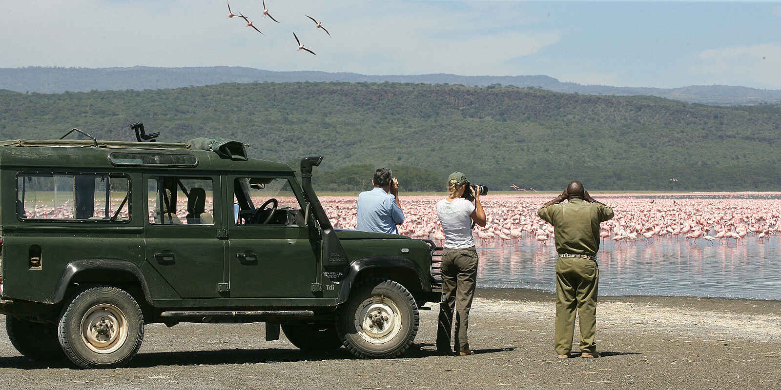 Loldia House: Loldia House: