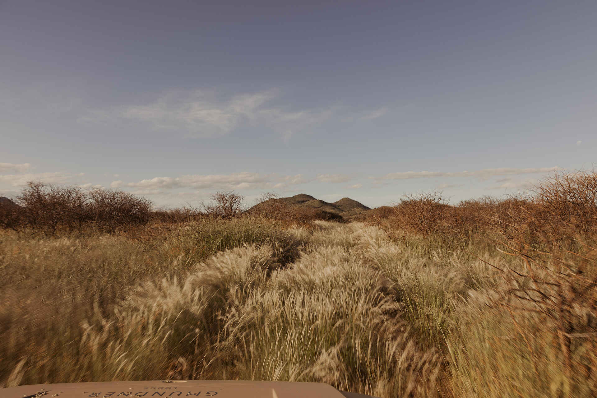 Gmundner Lodge: Natur soweit das Auge reicht