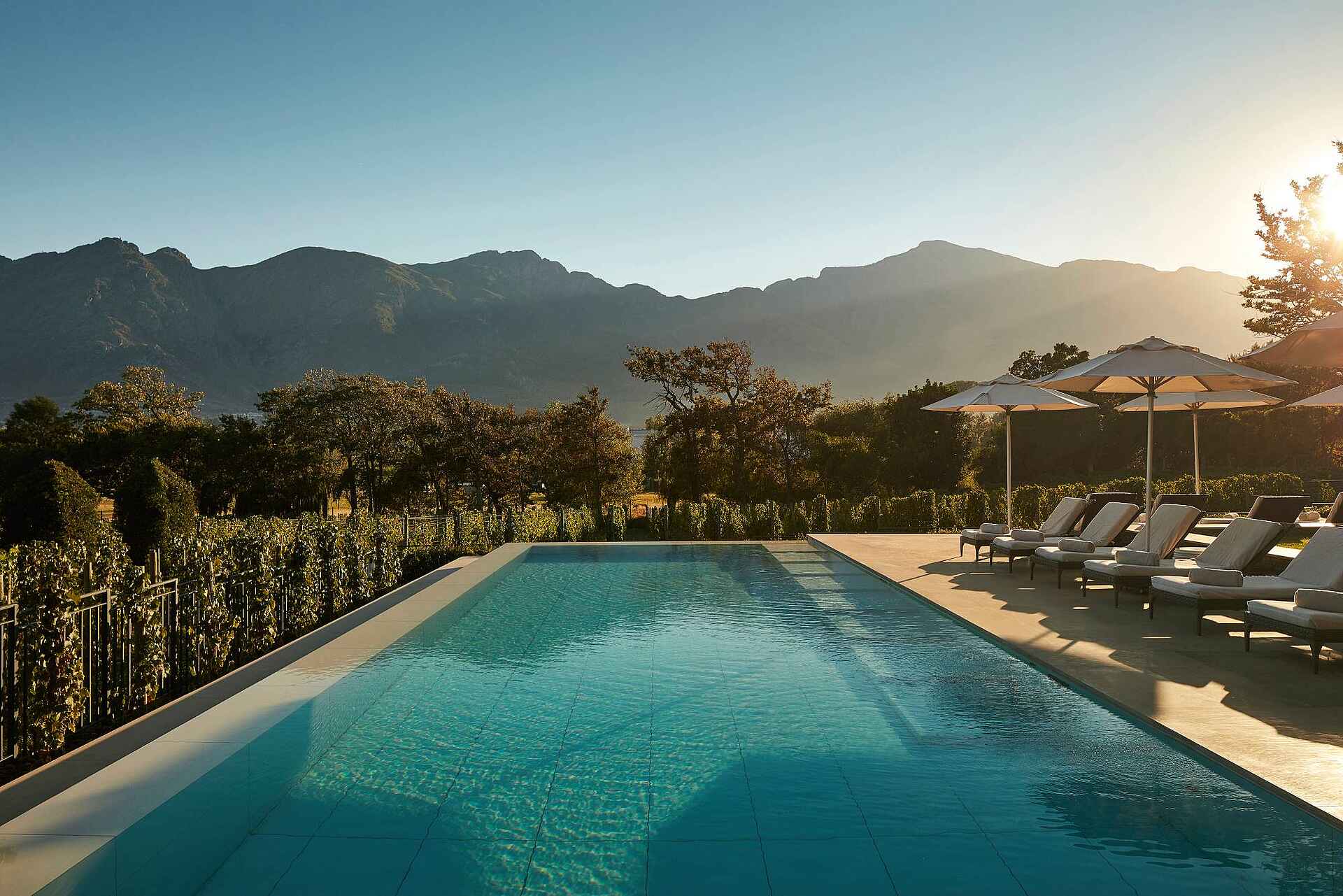 Leeu Estates: Der Pool