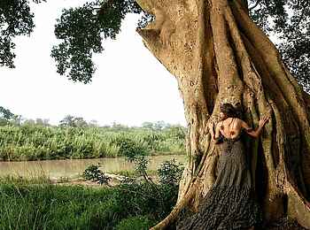 Londolozi Tree Camp: Mensch und Natur im Einklang