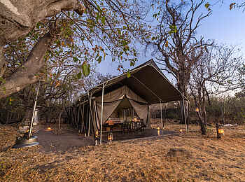 Machaba Camp: Luxury Tent Ansicht