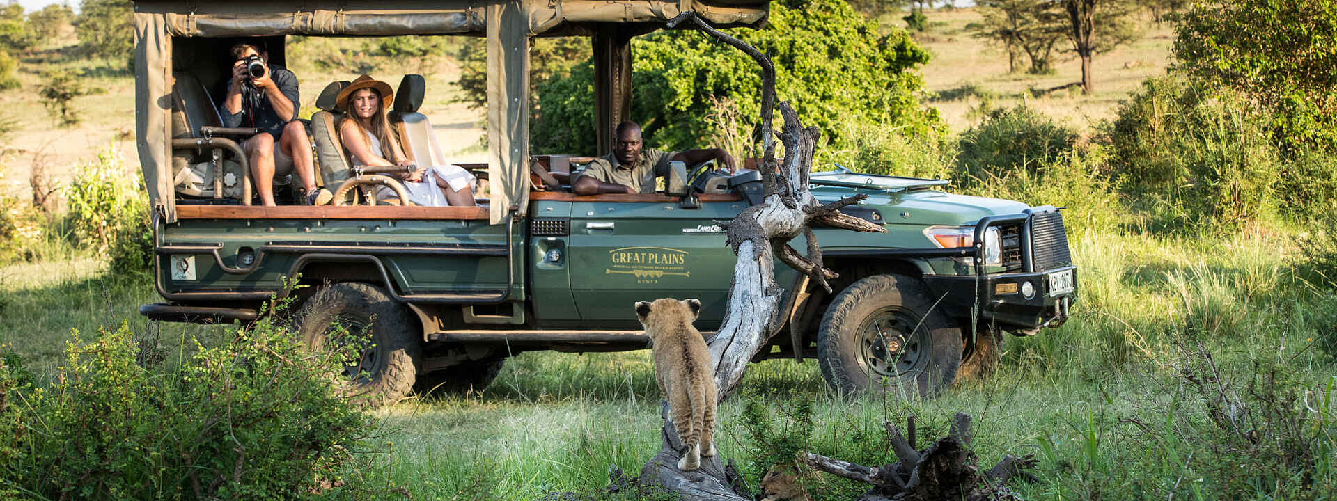 Auf der Pirschfahrt entdeckt: Ein Löwenjunges!