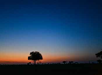 Murchison River Lodge: Abendlicht