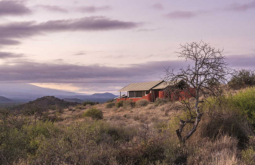 Shu'mata Camp: Blick auf ein Gästezelt Shu'mata Camp: Blick auf ein Gästezelt