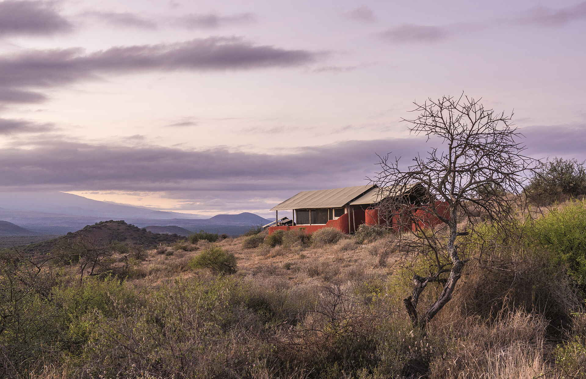 Shu'mata Camp: Blick auf ein Gästezelt