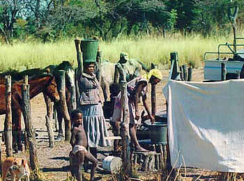 Edo's Camp: Leben bei den San Edo's Camp: Leben bei den San