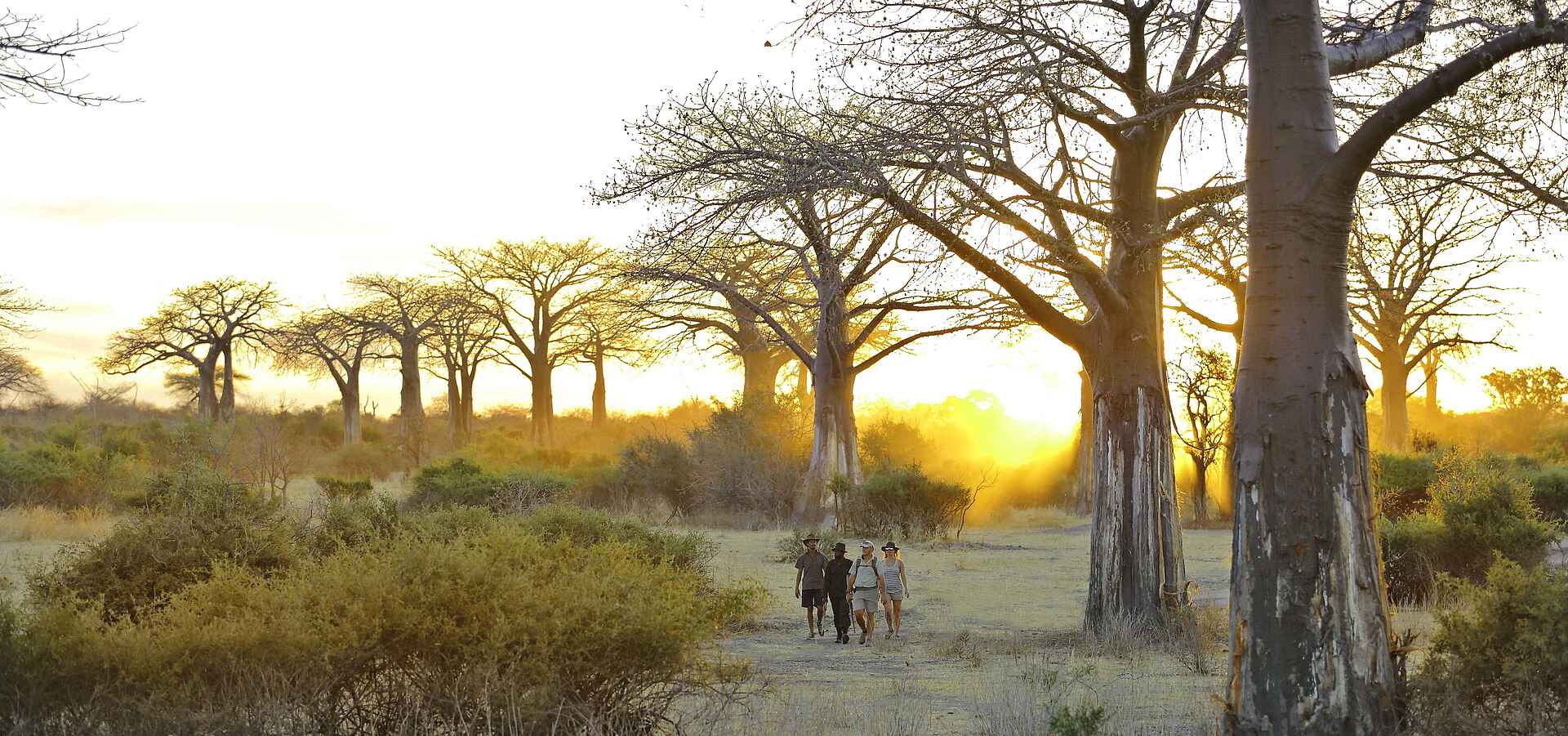 Jabali Private House: Baobabs Jabali Private House: Baobabs