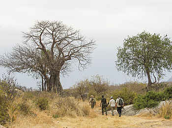 Kwihala Camp: Wanderung