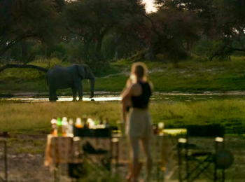 Mogogelo Camp: Elefant beim Sundowner am Wasserloch Mogogelo Camp: Elefant beim Sundowner am Wasserloch