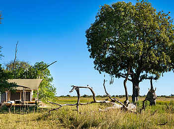 Monachira Camp: Die Umgebung der Gästezelte Monachira Camp: Die Umgebung der Gästezelte