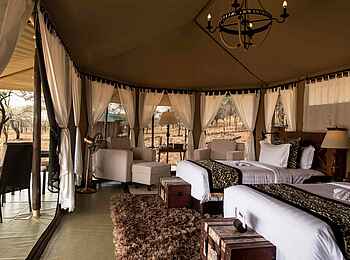 Ole Serai Luxury Camp - Moru Kopjes: Blick in ein Zweibettzelt Ole Serai Luxury Camp - Moru Kopjes: Blick in ein Zweibettzelt