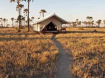 San Camp: Gästezelt