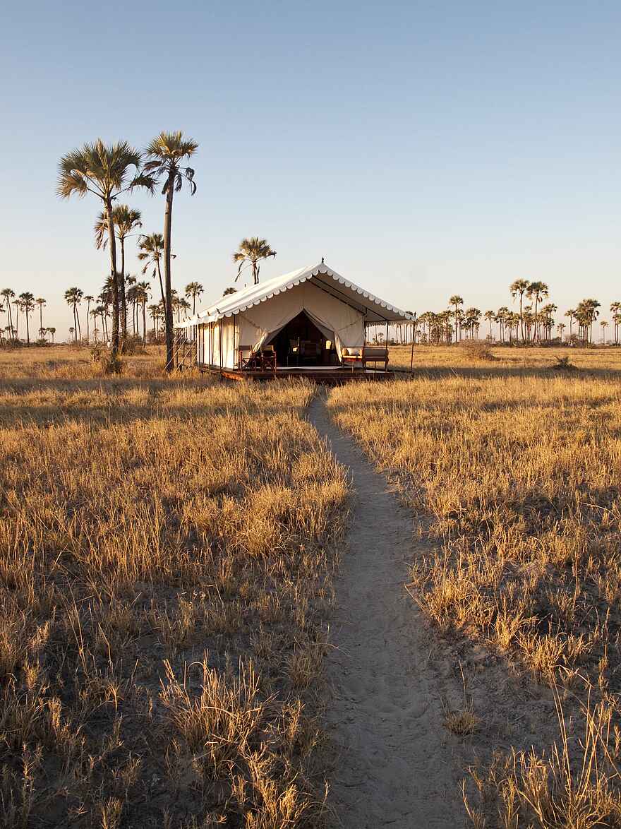 San Camp: Gästezelt San Camp: Gästezelt